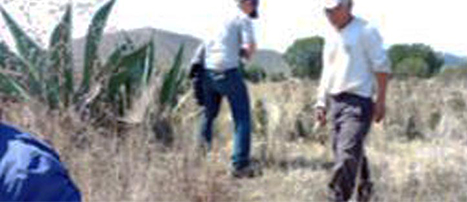 Replanteamiento de los vértices de la parcela